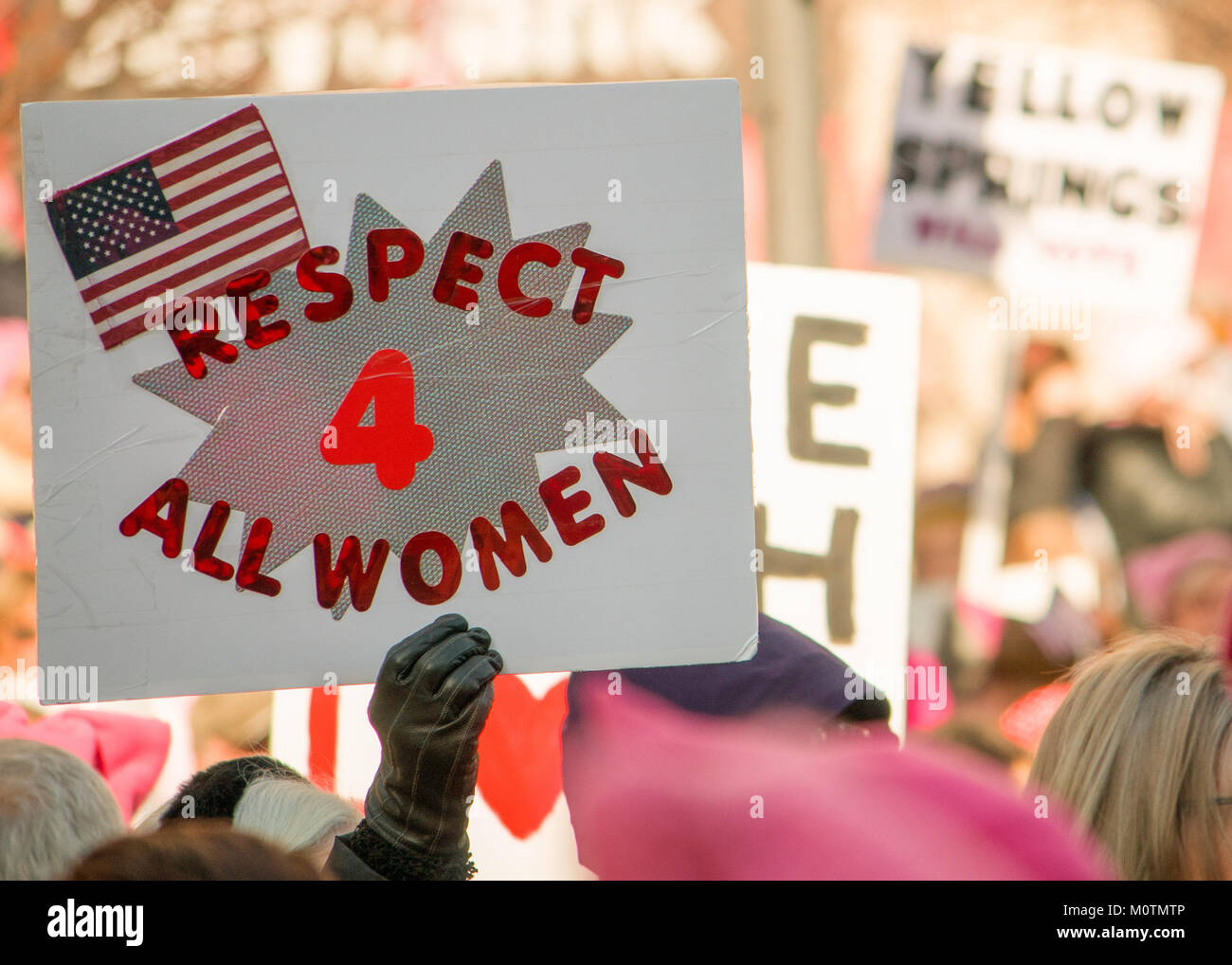 I manifestanti in tutte le forme al rally di donne del marzo a Dayton, Ohio, 20 gennaio 2018. Segni fatti in casa erano disseminate attraverso la grande folla. Foto Stock