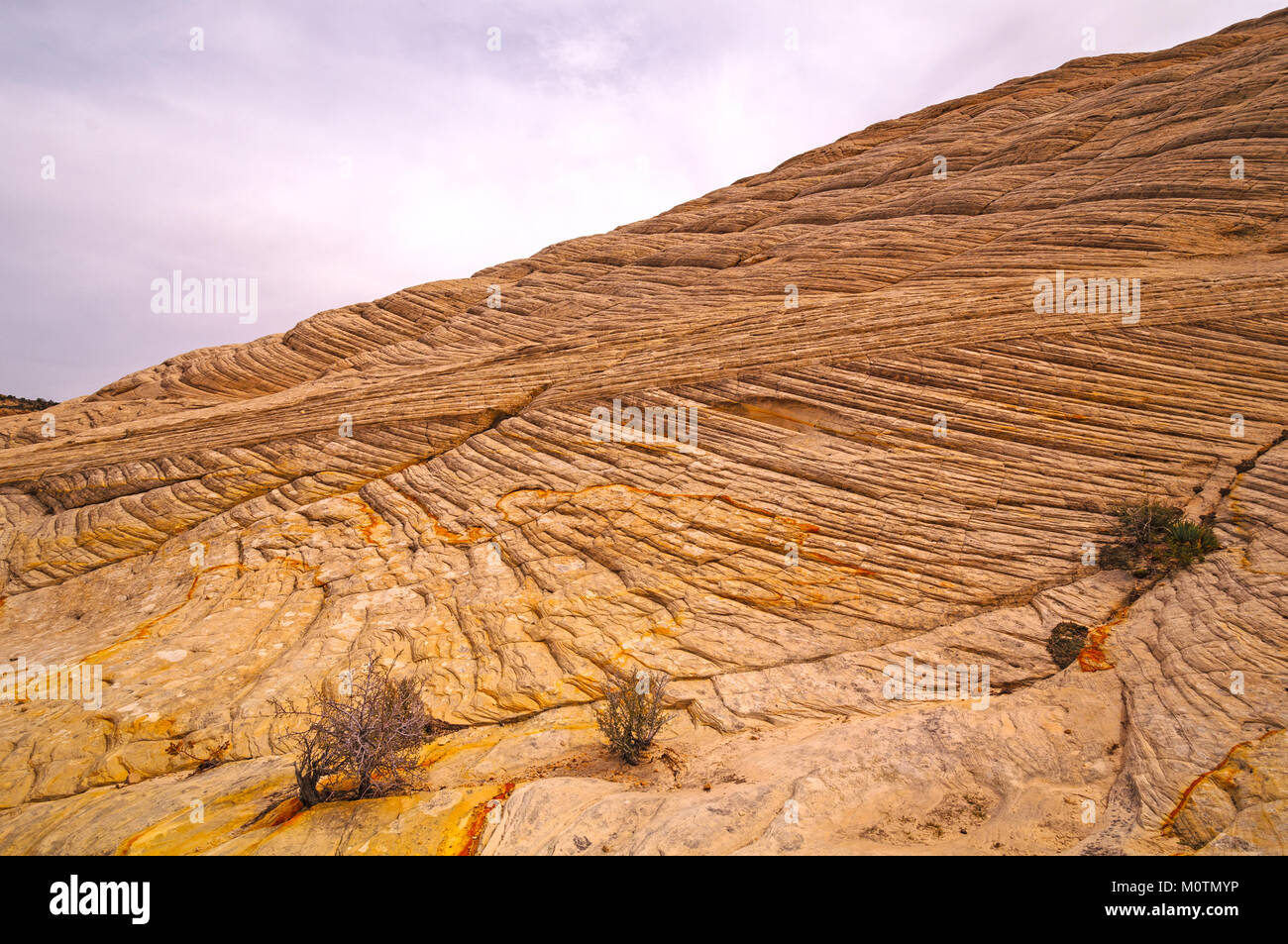 Bianco arenaria ridge in Snow Canyon State Park in Utah Foto Stock