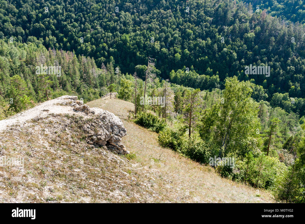 Vista dalla cima della montagna alla fitta foresta verde ai suoi piedi. Foto Stock