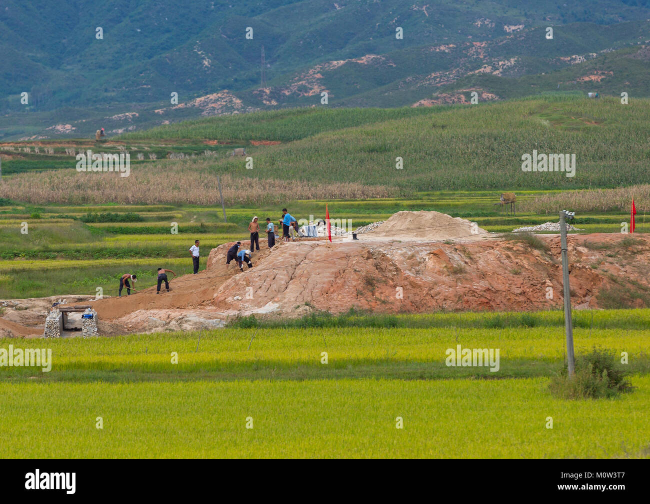 Norh lavoratori coreani in un campo, Sud Hamgyong Provincia, Hamhung, Corea del Nord Foto Stock