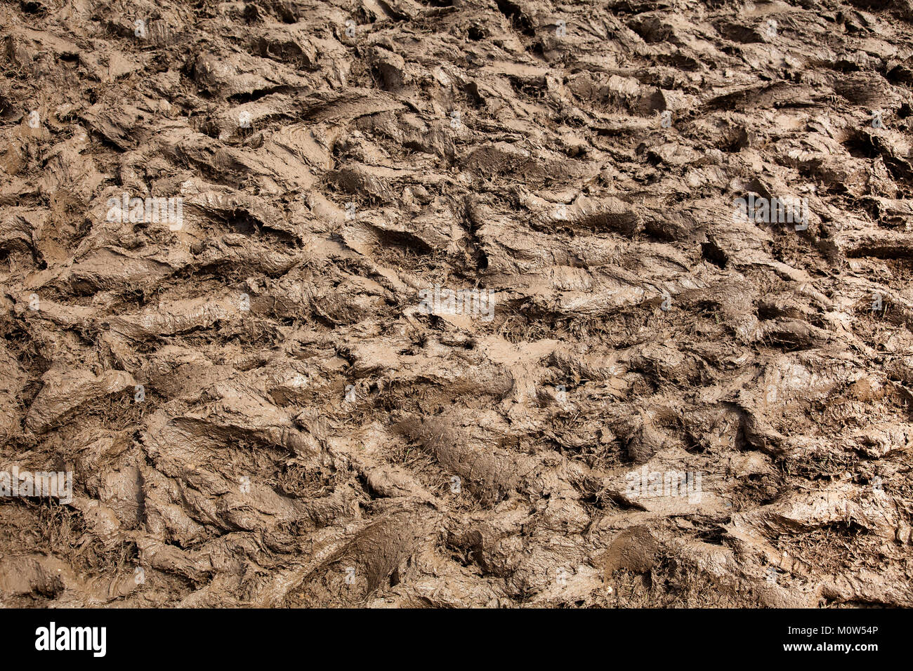 Un mare di fango e fangoso impronte in un inglese un festival di musica. Foto Stock