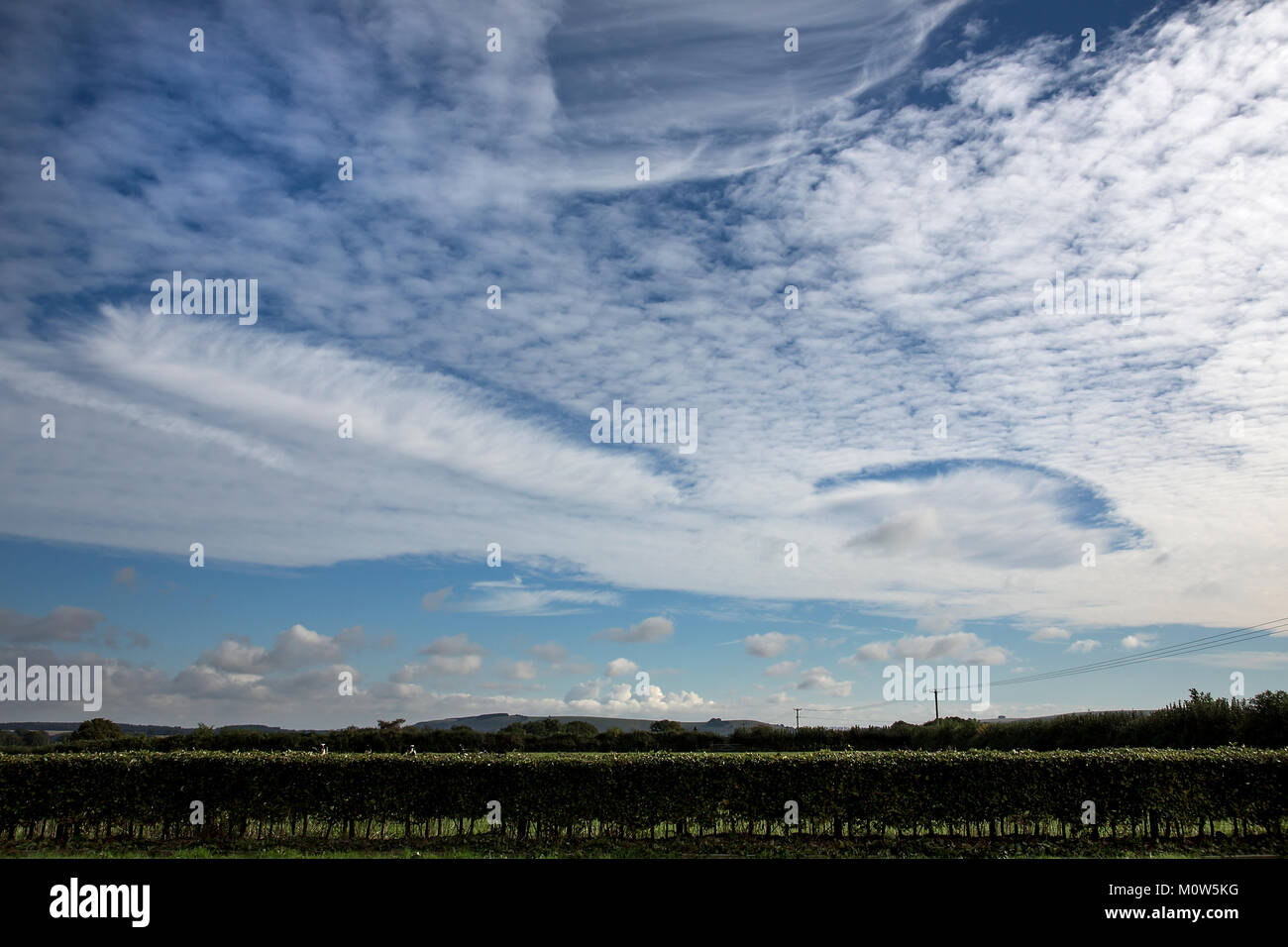 Immagine di rara Fallstreak fori formati in cirrocumulus altocumulus e nuvole nel Wiltshire. Foto Stock