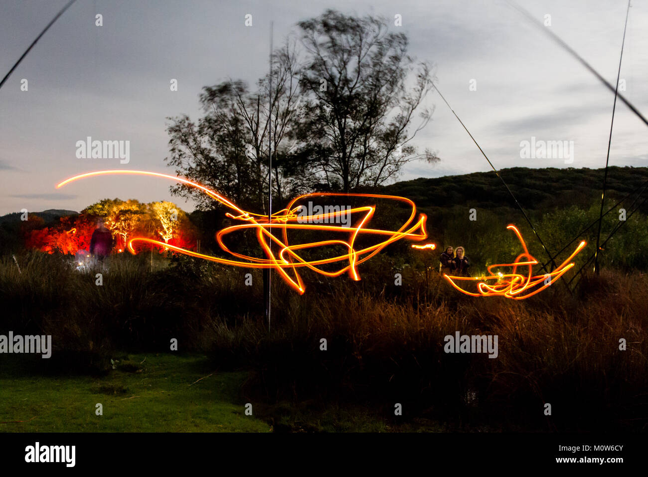 Mark Anderson scuro pezzo scintilla lucciole per gli uccelli Ynyshir rspb Foto Stock