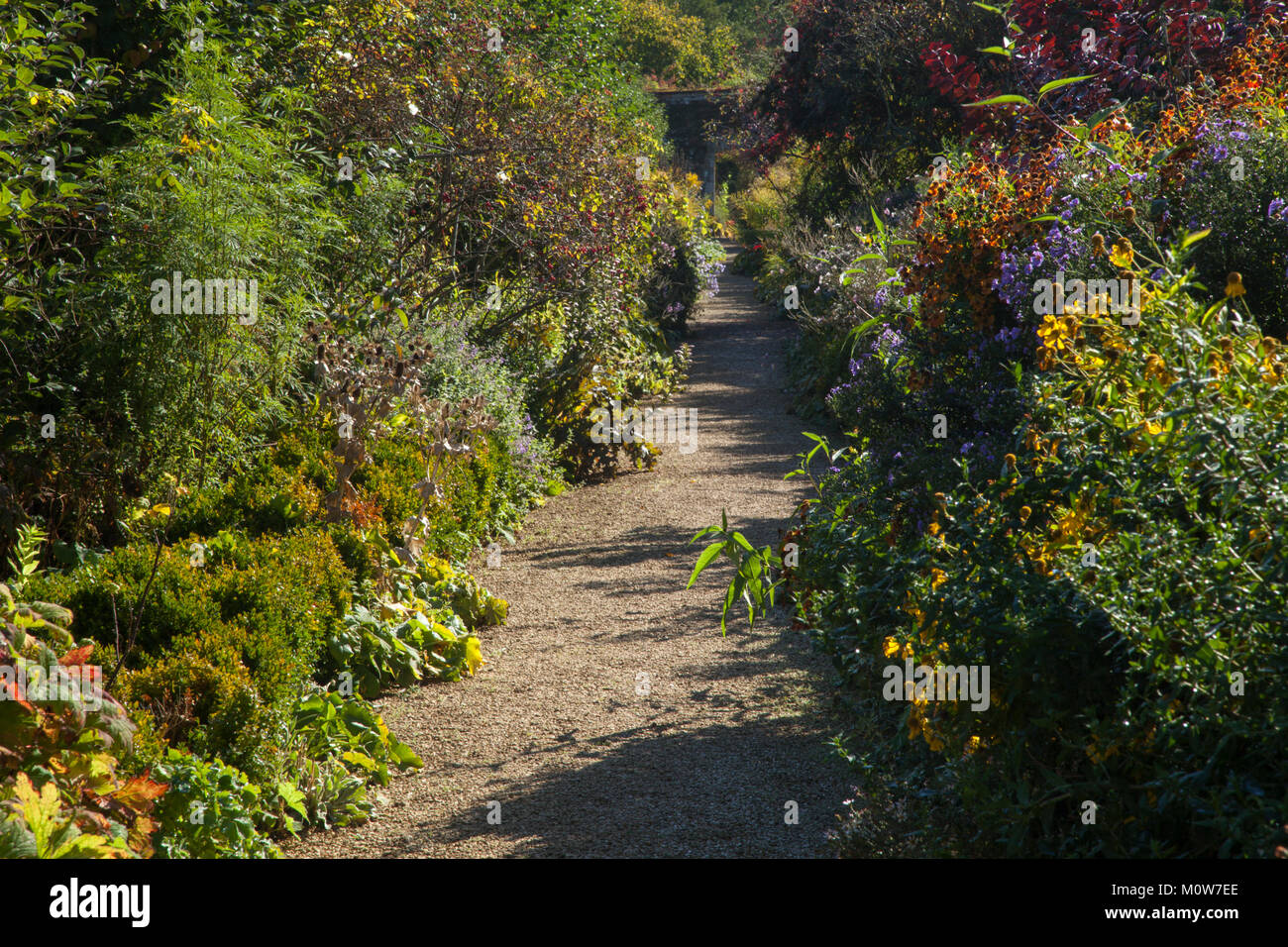Alla fine di settembre il colore entro il giardino murato di Rousham House in Oxfordshire, Inghilterra. Foto Stock