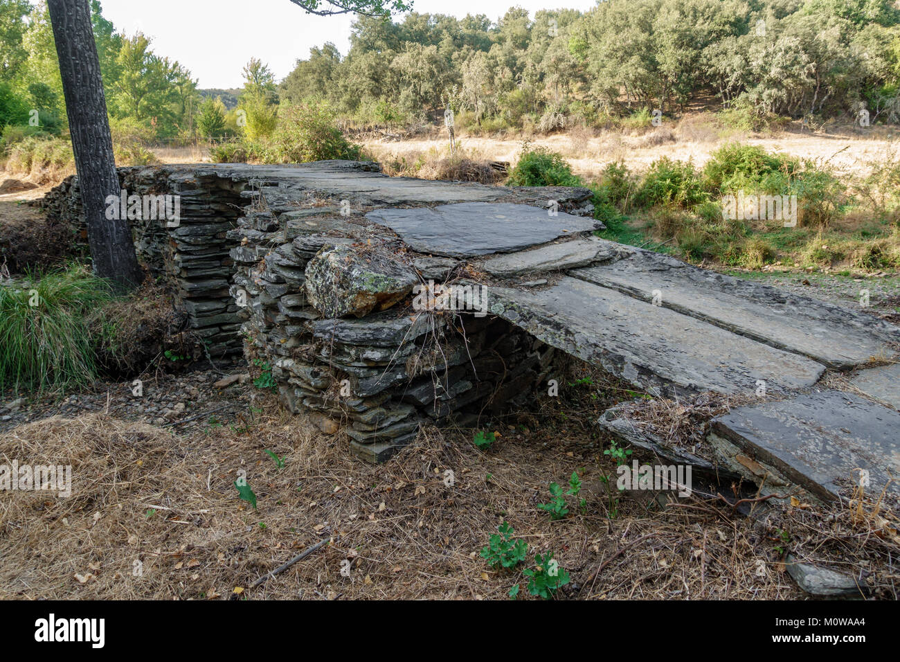 Ardesia e pietra profilo a ponte sopra il fiume secco Foto Stock