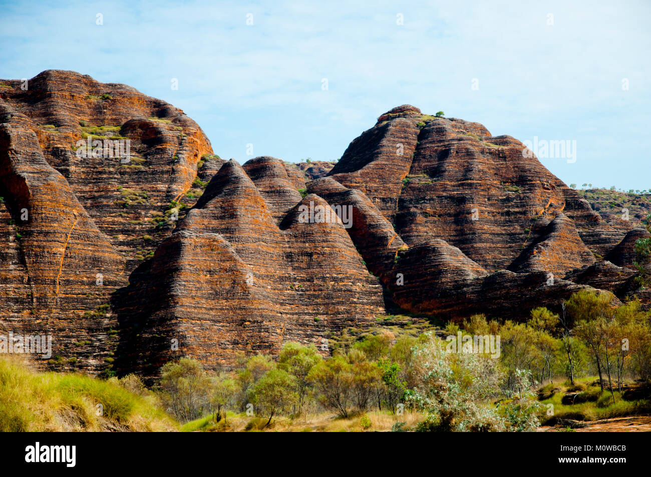 Bungle Bungle Range - Kimberley - Australia Foto Stock