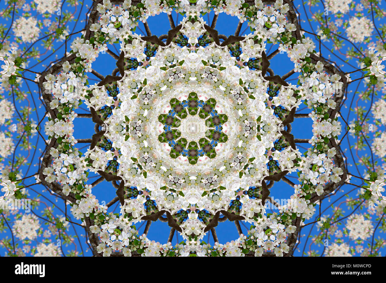 Abstract sullo sfondo di un disegno floreale di un caleidoscopio. bianco blu verde dello sfondo mandala frattali. astratta arabesque caleidoscopica. geometrica o Foto Stock