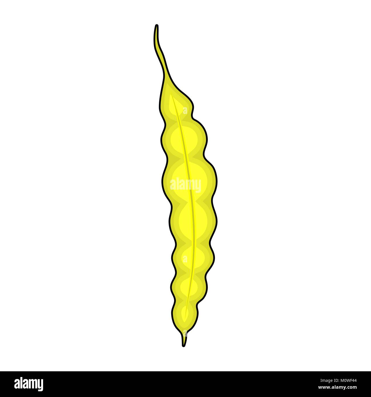 String bean isolato giallo su sfondo bianco Illustrazione Vettoriale