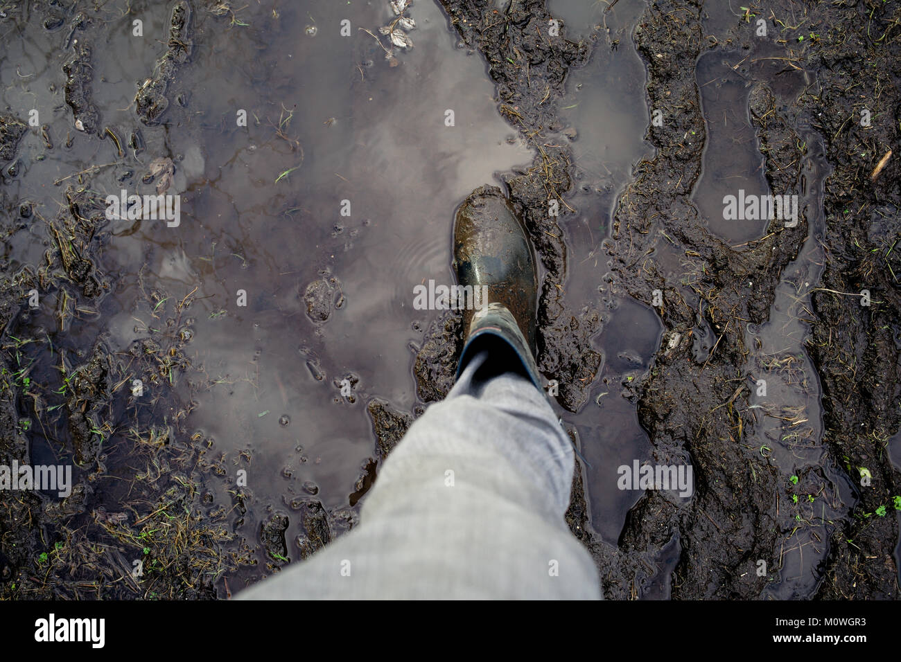 Un welly boot su fondi fangosi percorso impregnato d'acqua. Con il cielo riflesso nella pozza d'acqua. Foto Stock