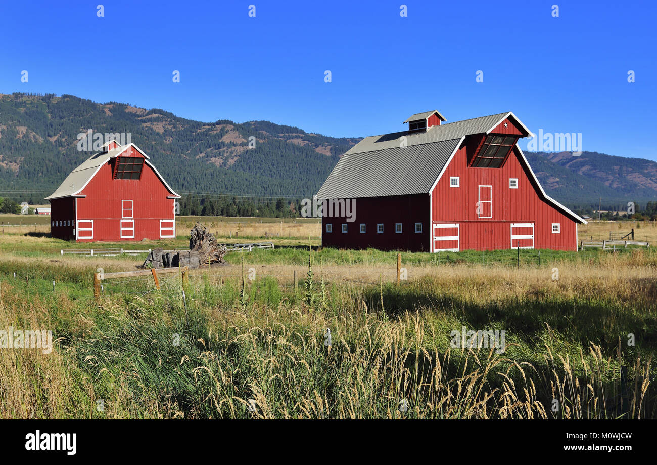 Due fienili situato vicino alla città di Summerville, Oregon. Foto Stock