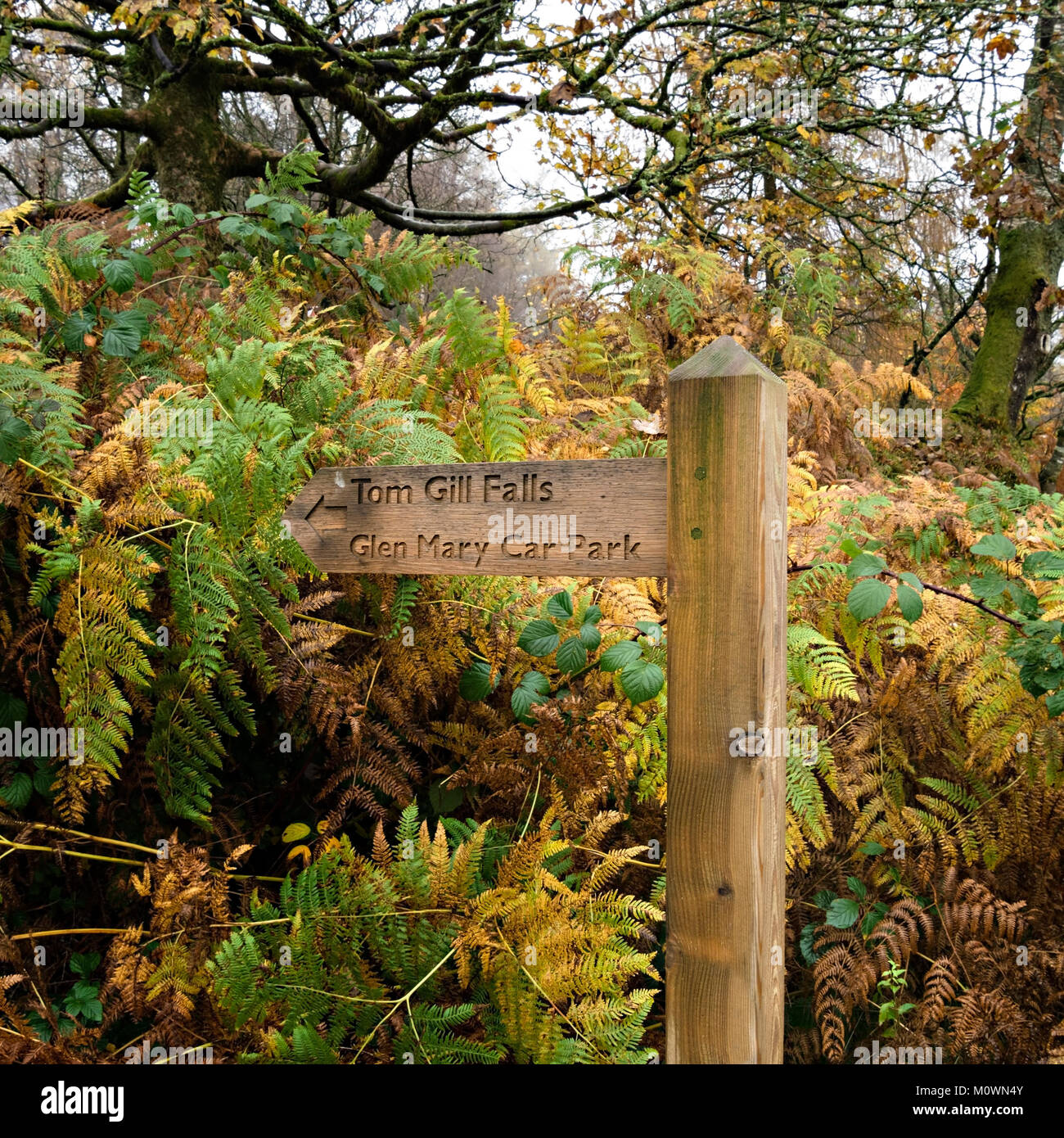 Dito di legno sentiero post segno indicante le direzioni a Tom Gill cade e Glen Maria, Lake District inglese, Cumbria, England, Regno Unito Foto Stock