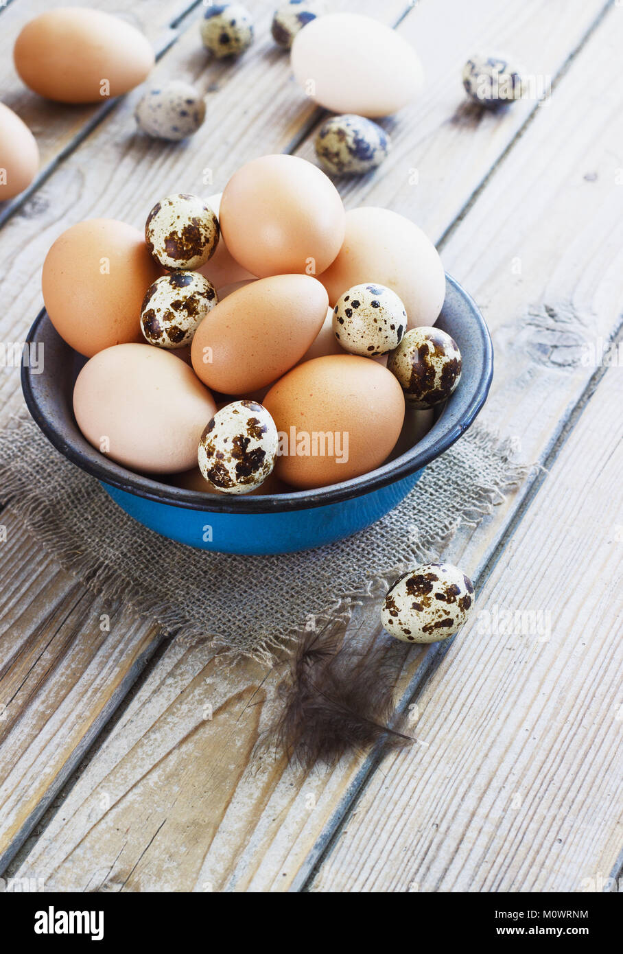Uova di pollo e quaglie farm in una ciotola di metallo Foto Stock