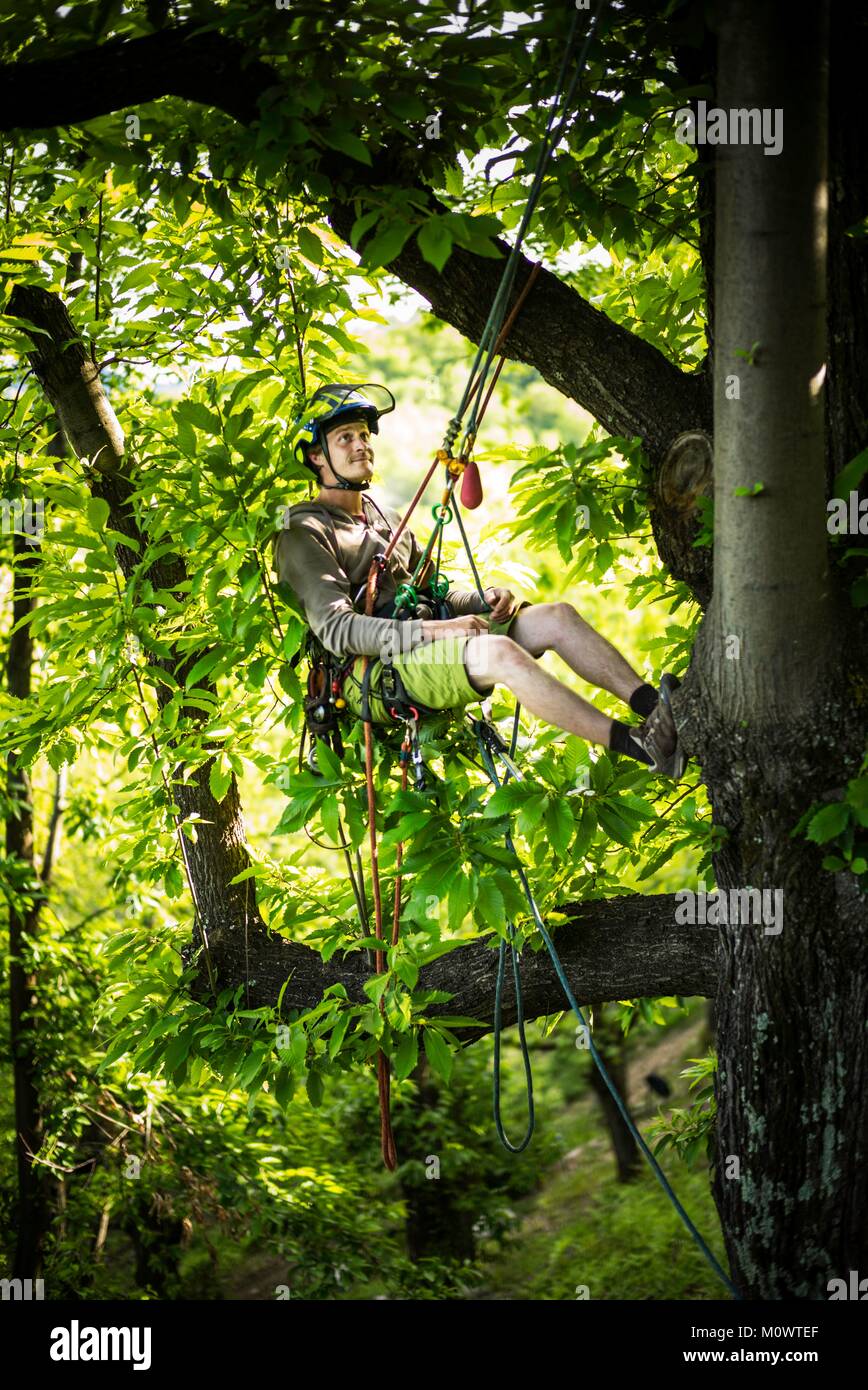 Francia,Ardeche,Chirols,Guenael Buvry,rifinitore ad albero Foto Stock