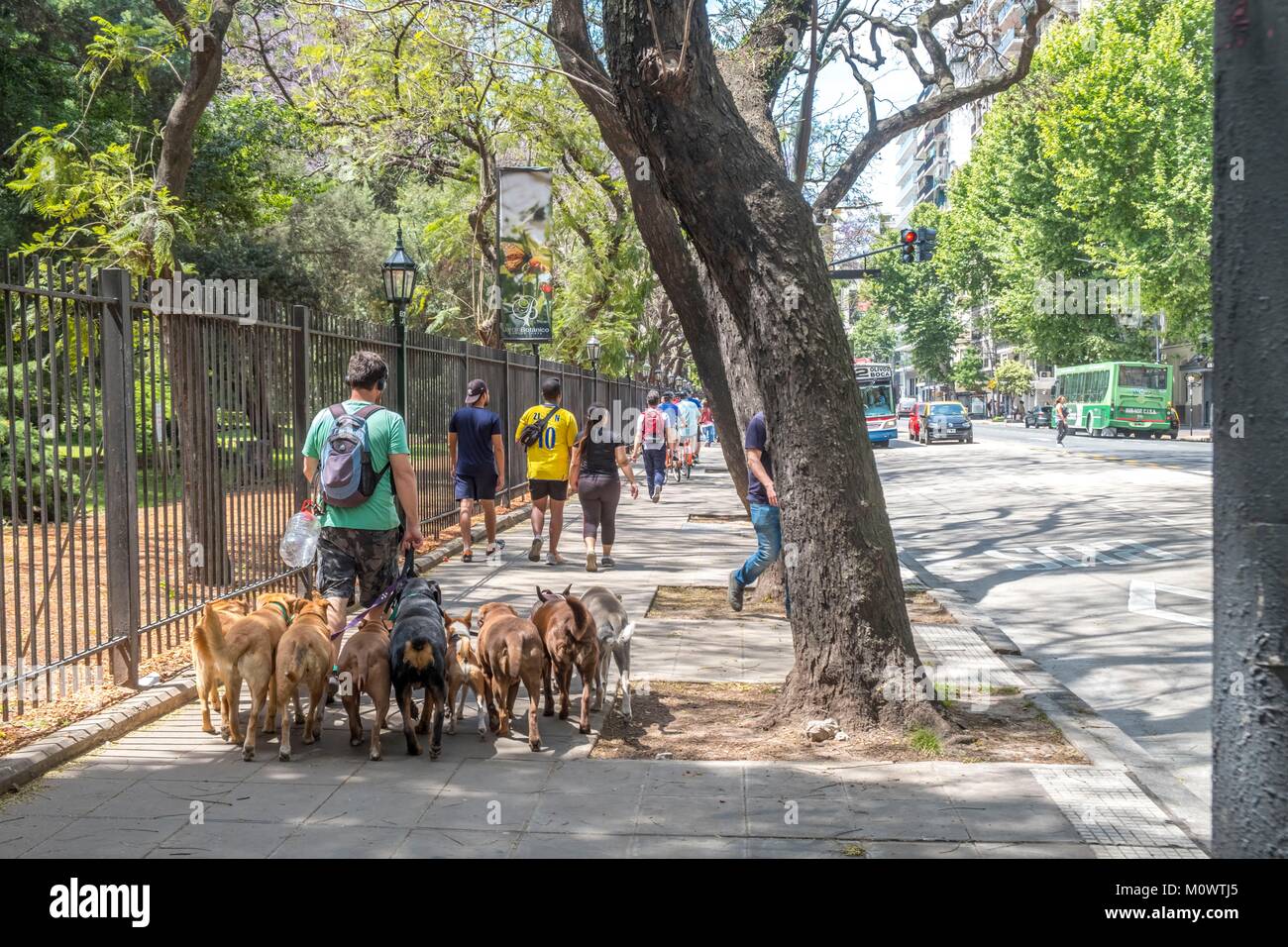 L'Argentina,provincia di Buenos Aires,Buenos Aires,dog walker Foto Stock