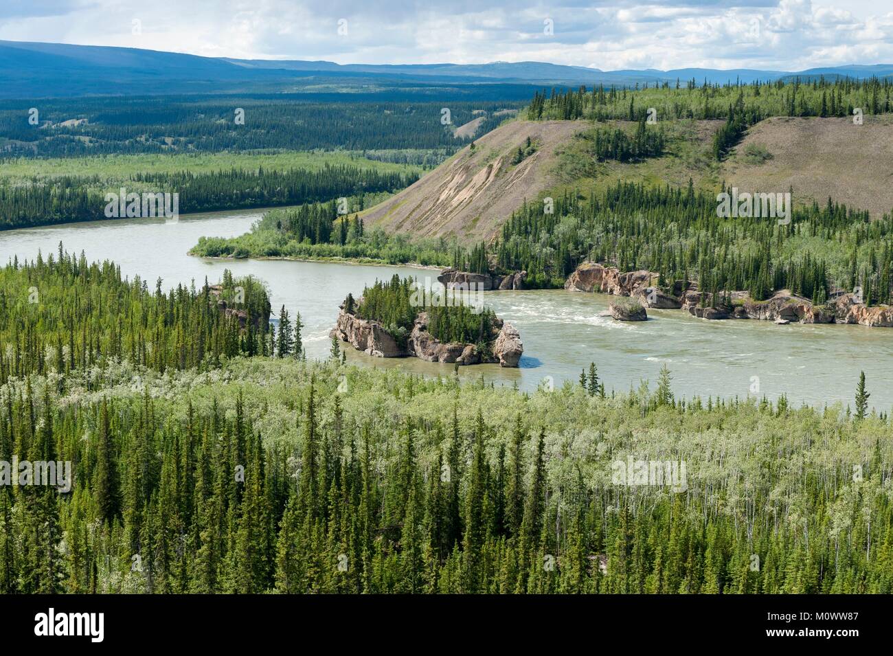 Canada,Yukon Territory,Carmacks,Yukon River Foto Stock
