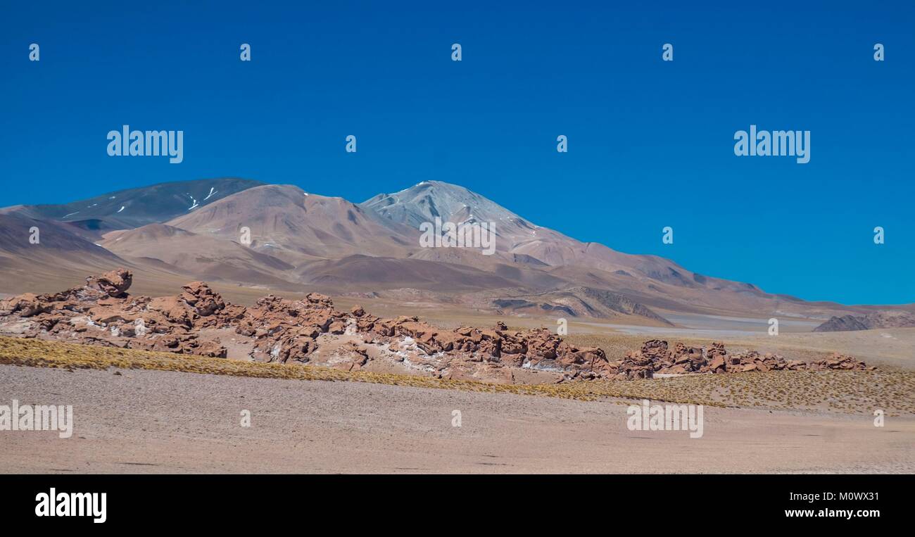 L'Argentina,Catamarca provincia,Puna desert,el Penon,Laguna Grande,Laguna Blanca Riserva della Biosfera dall'UNESCO Foto Stock