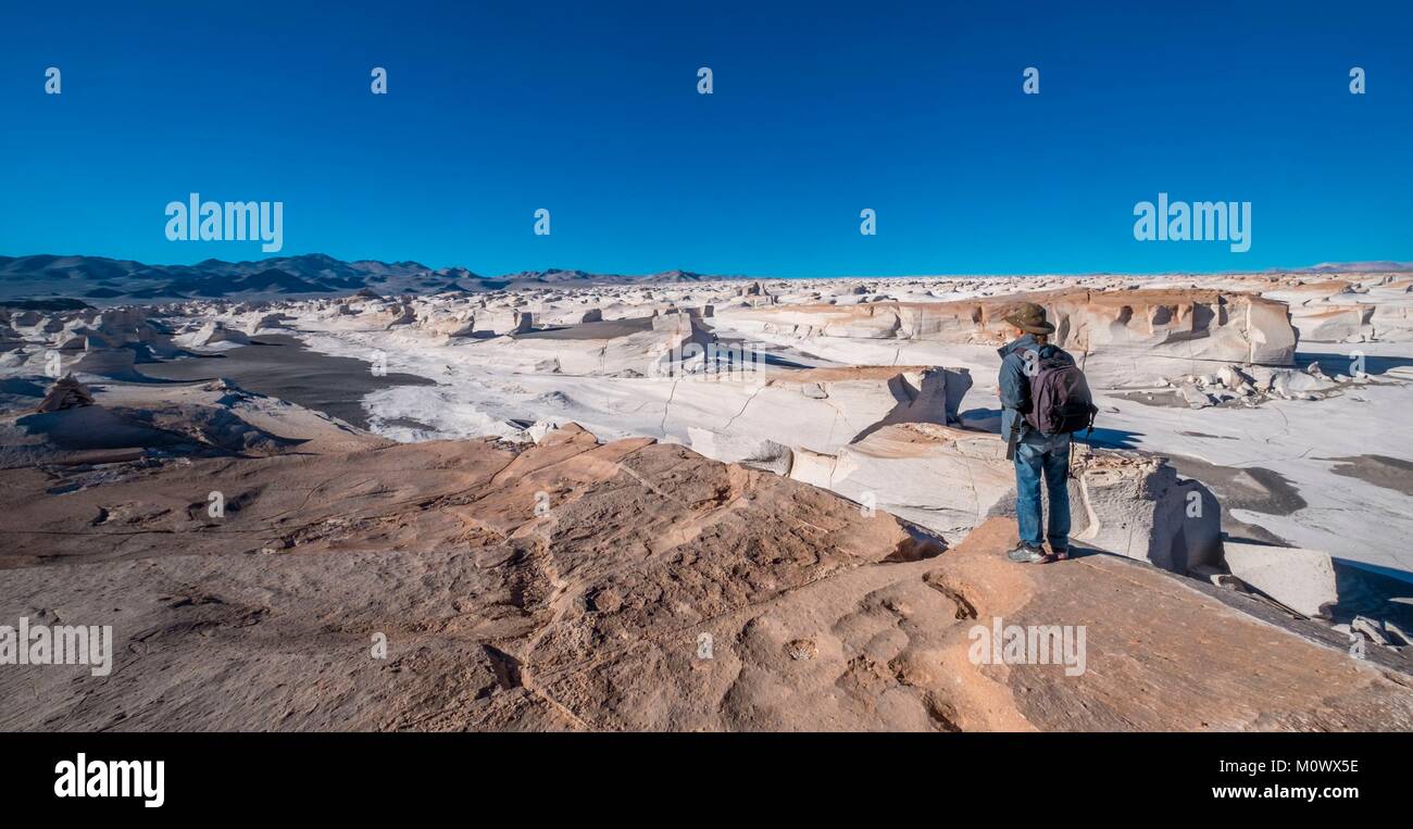 L'Argentina,Catamarca provincia,Puna desert,el Penon,Campo de Piedra Pomez Foto Stock
