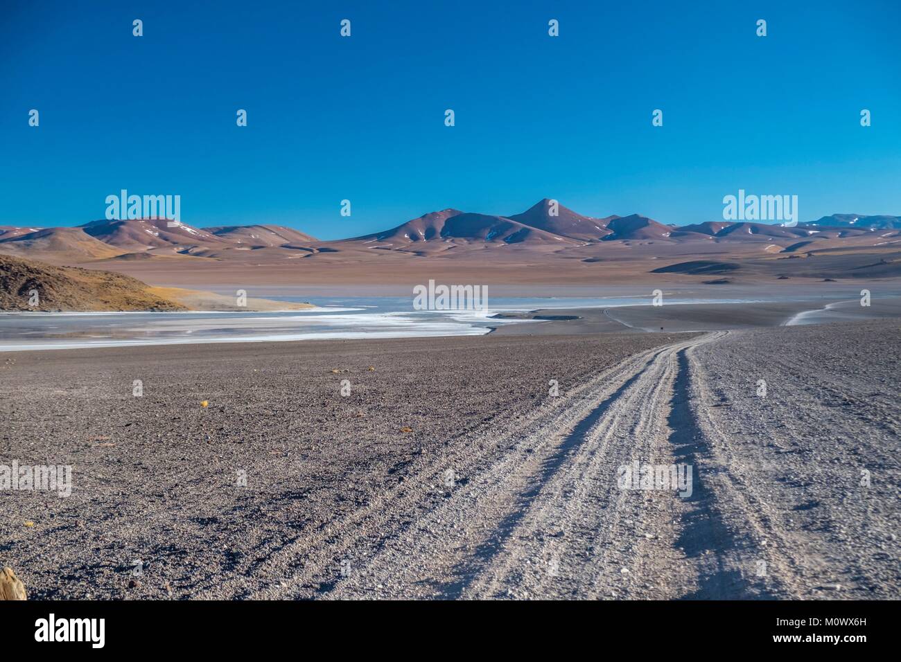 L'Argentina,Catamarca provincia,Puna desert,el Penon,Laguna Grande sulla rotta a volcan Galan Foto Stock
