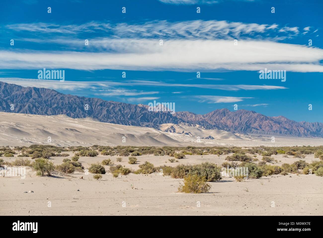 L'Argentina,Catamarca provincia,dune di sabbia di Taton vicino a Fiambala Foto Stock