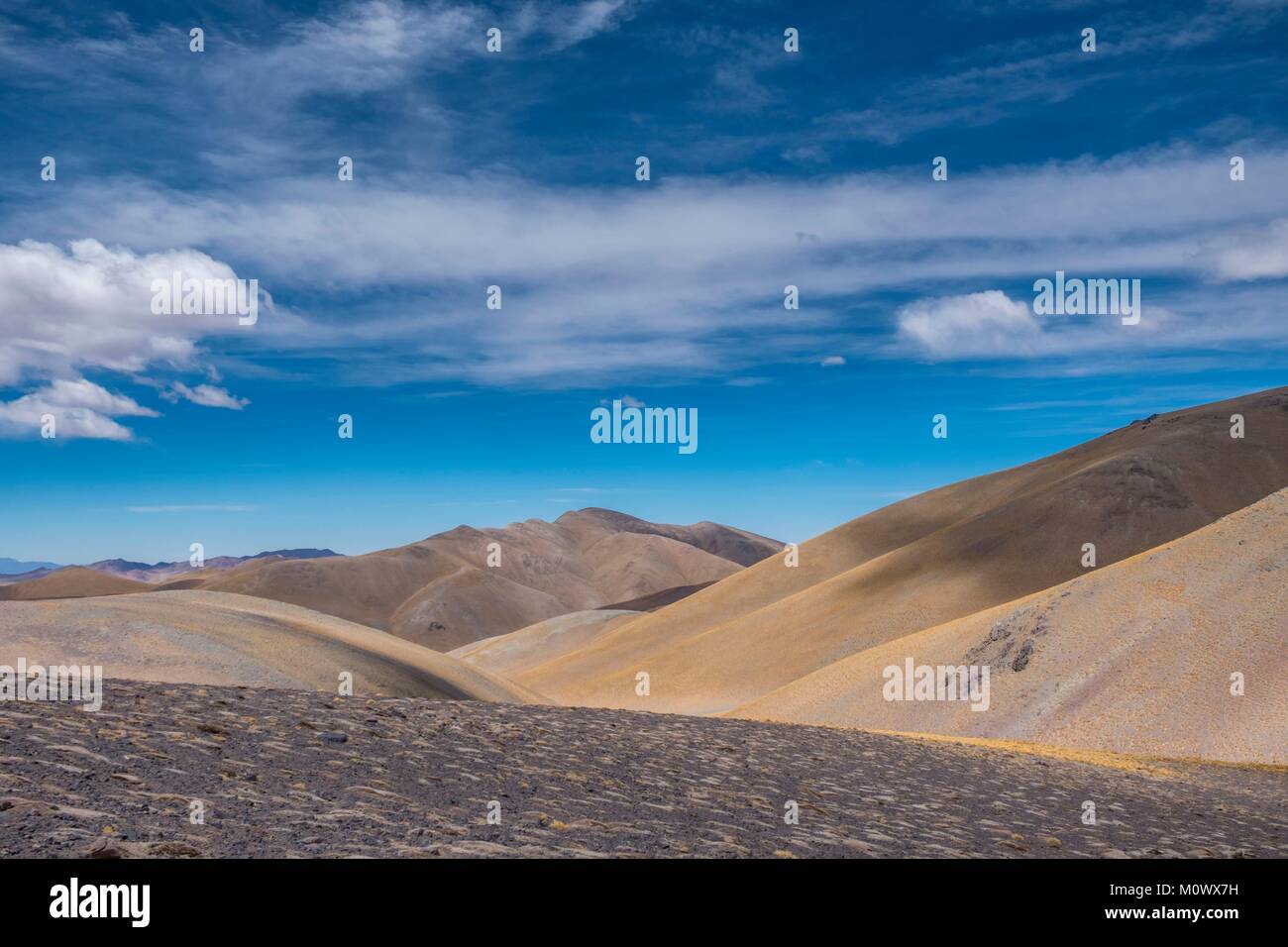 L'Argentina,Catamarca provincia,Puna desert,Chaschuil valley,route 60 tra Fiambala e Cile confine Foto Stock