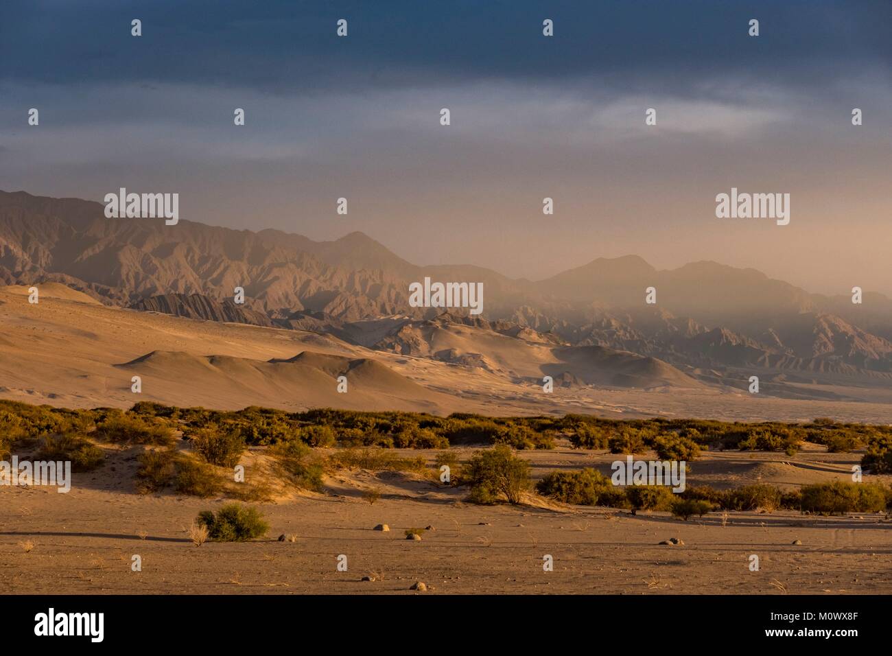 L'Argentina,Catamarca provincia,Taton dunes,intorno a Fiambala Foto Stock