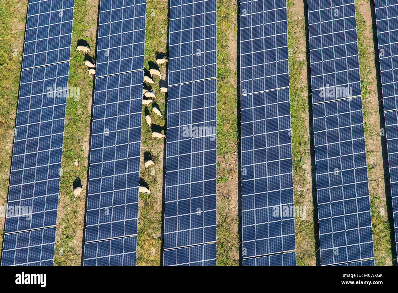 Francia,Allier,Hauterive,parco fotovoltaico di Hauterive (vista aerea) Foto Stock