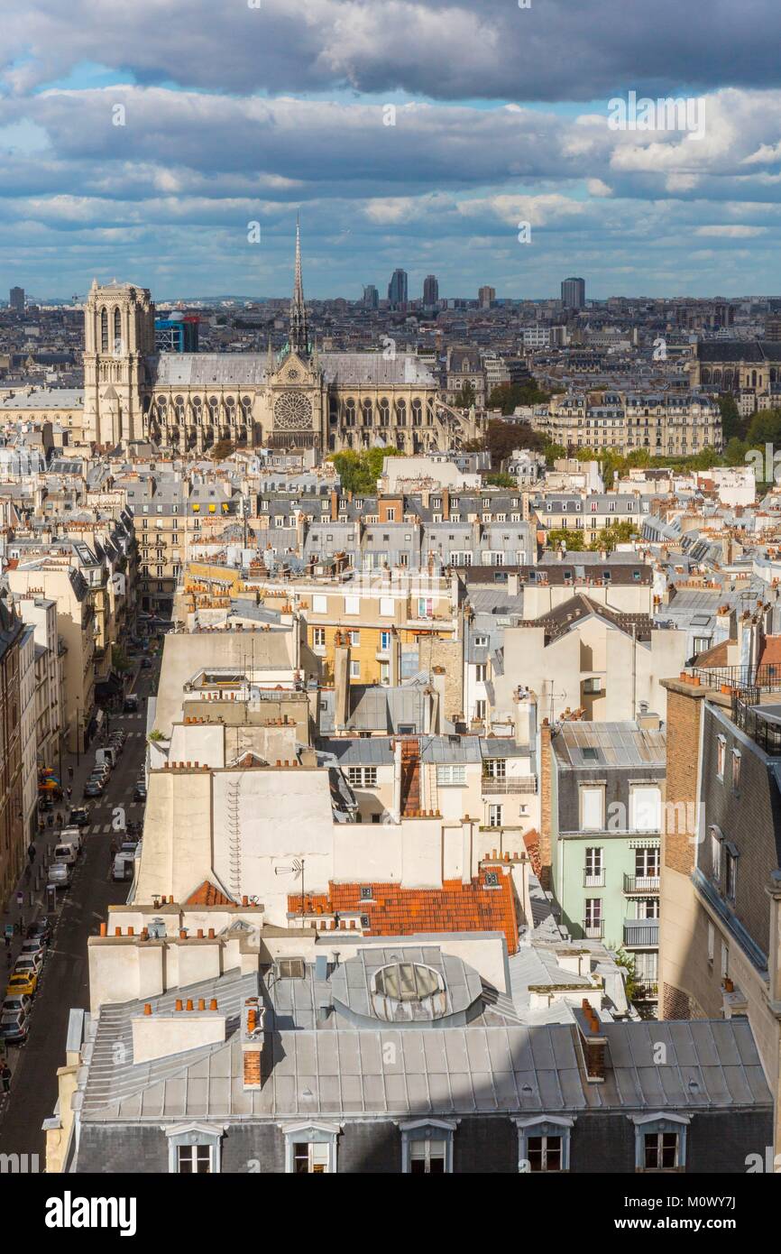 Francia,Parigi,i tetti di Parigi in zinco e la Cattedrale di Notre Dame Foto Stock