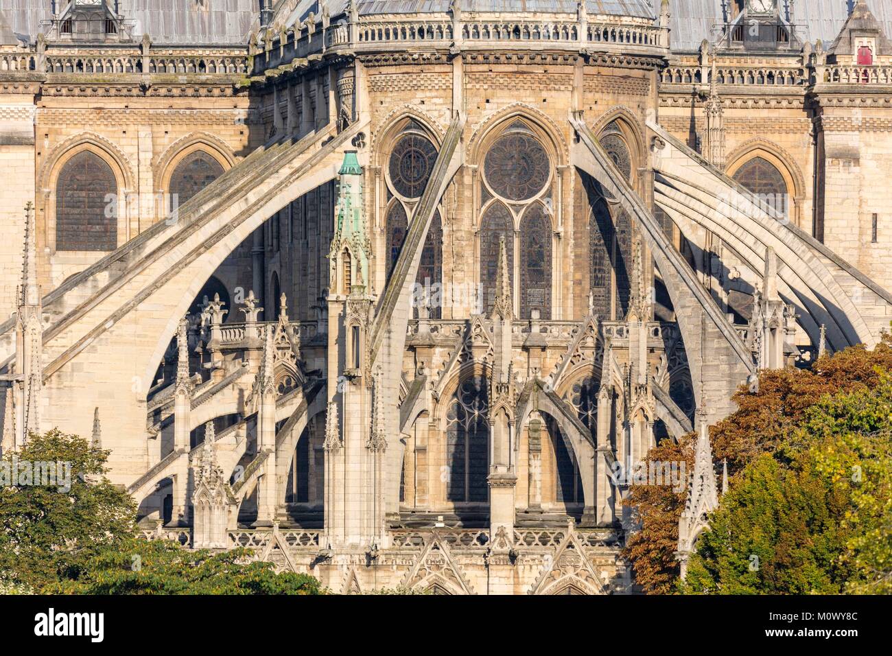 Francia,Parigi,zona elencata come patrimonio mondiale dall UNESCO,Cattedrale di Notre Dame de Paris Foto Stock