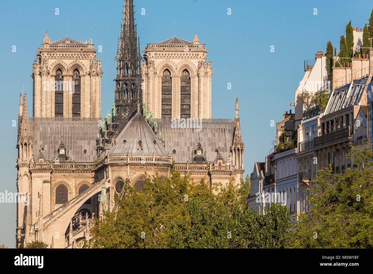 Francia,Parigi,zona elencata come patrimonio mondiale dall UNESCO,Cattedrale di Notre Dame de Paris Foto Stock