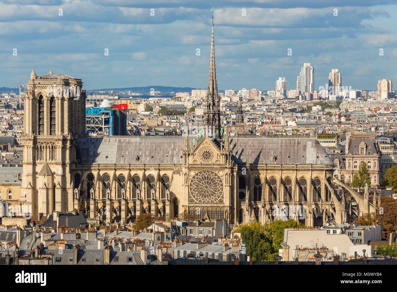 Francia,Parigi,vista generale e la Cattedrale di Notre Dame Foto Stock