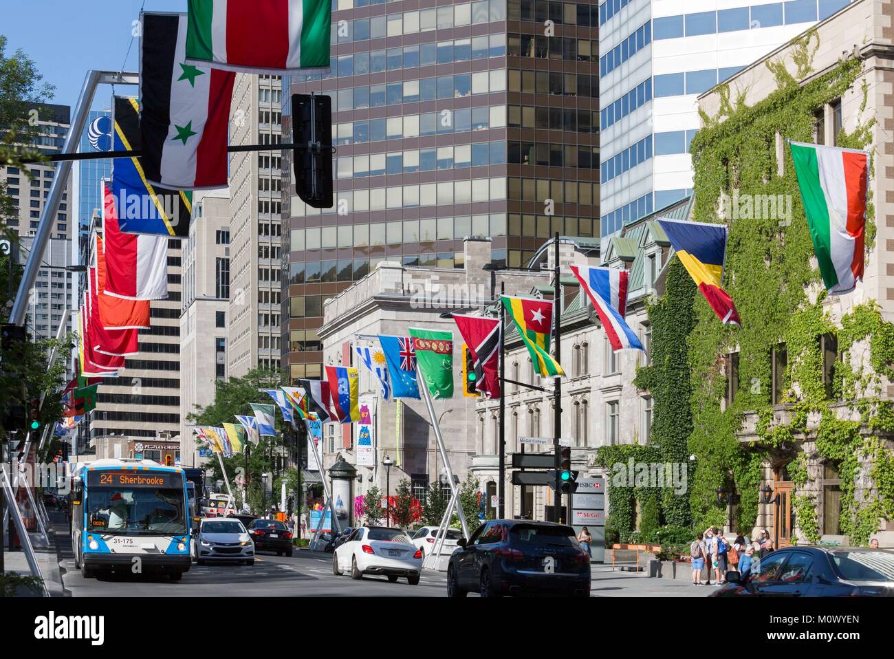 Canada, Québec provincia,Montreal,centro della città,Sherbrooke Street,pavimentata con i colori delle bandiere di circa 200 paesi membri delle Nazioni Unite nonché quelle del Canada è 13 province e territori,La Balade pour la la pace: un museo a cielo aperto in occasione del 350° anniversario della città Foto Stock