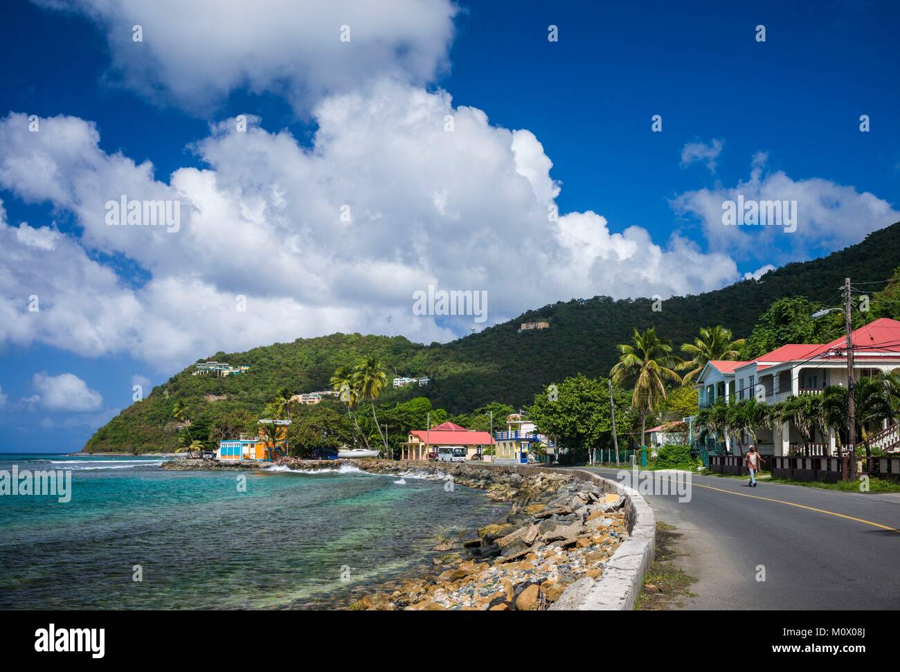 Isole Vergini Britanniche,Tortola,Apple Bay,seascape Foto Stock