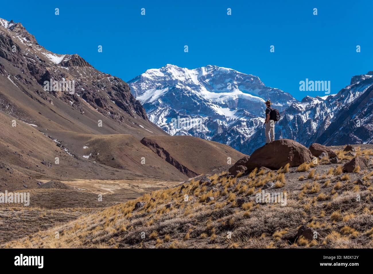 L'Argentina,provincia di Mendoza,Pronvicial Aconcagua Parco Aconcagua Mt (6692m la montagna più alto al di fuori della gamma himalayana) Foto Stock