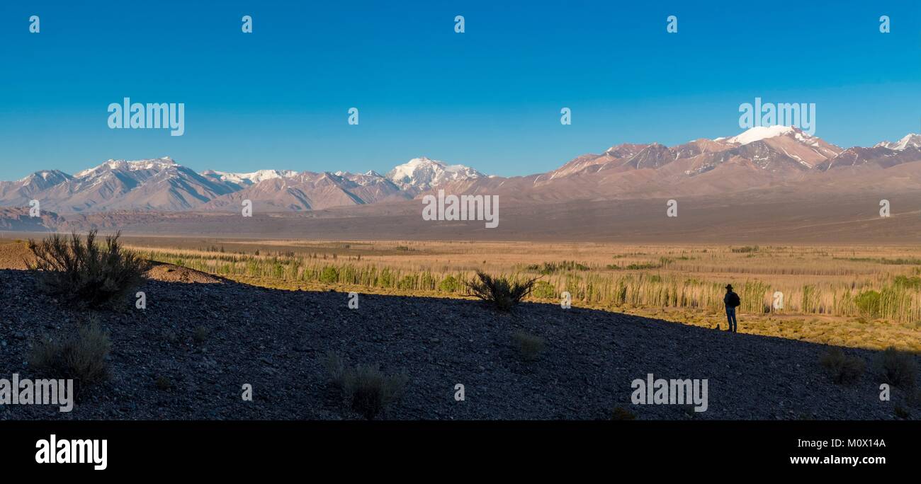 L'Argentina,San Juan provincia,Dipartimento Calingasta,Cordillera a Barreal Foto Stock