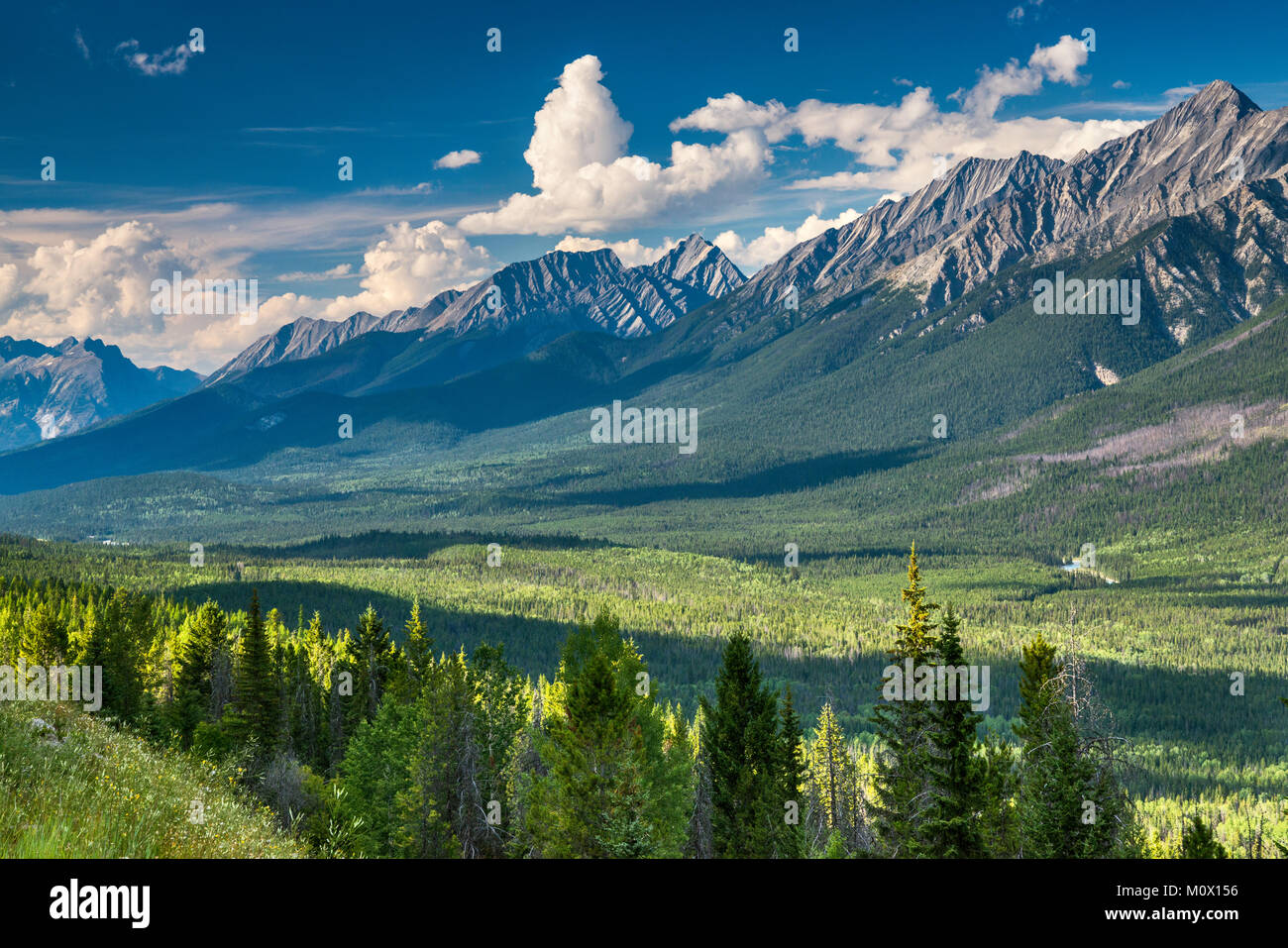 Parco varia aka gamme principali delle Canadian Rockies, dal punto di vista di road 93 vicino incrocio Vermillion, Kootenay National Park, British Columbia, Canada Foto Stock