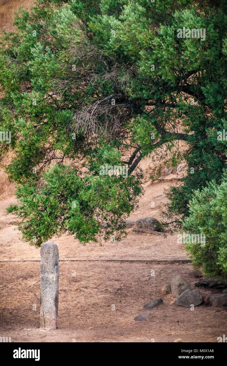 Francia,Corse du Sud,sito preistorico di Filitosa,Menhirs statue di personaggi armati Foto Stock