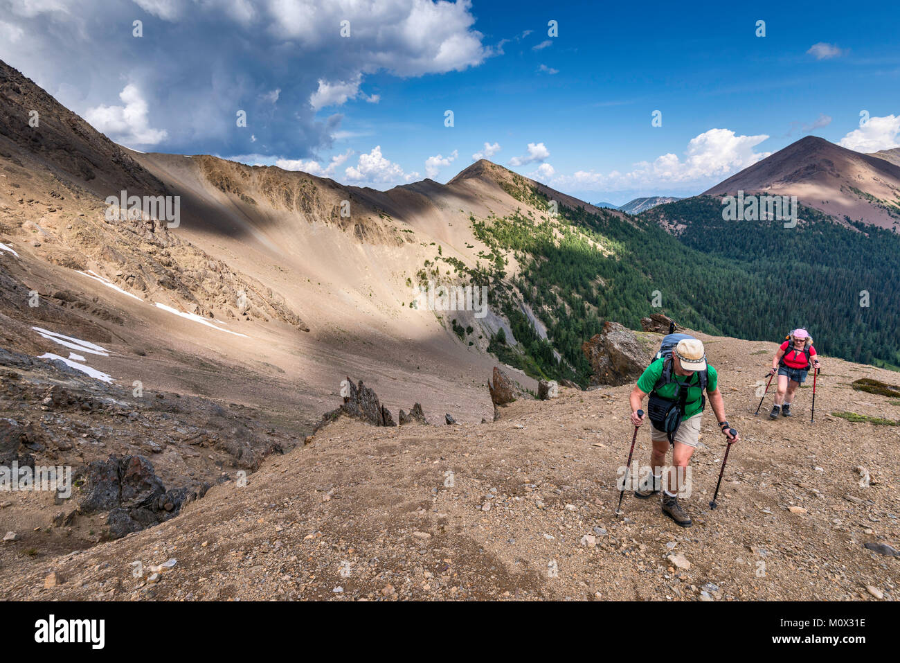 Persone di mezza età gli escursionisti ghiaione ascendente-pendenze coperte del monte Brewer, Purcell montagne, Kootenay Rockies, East Kootenay Regione, British Columbia, Canada Foto Stock
