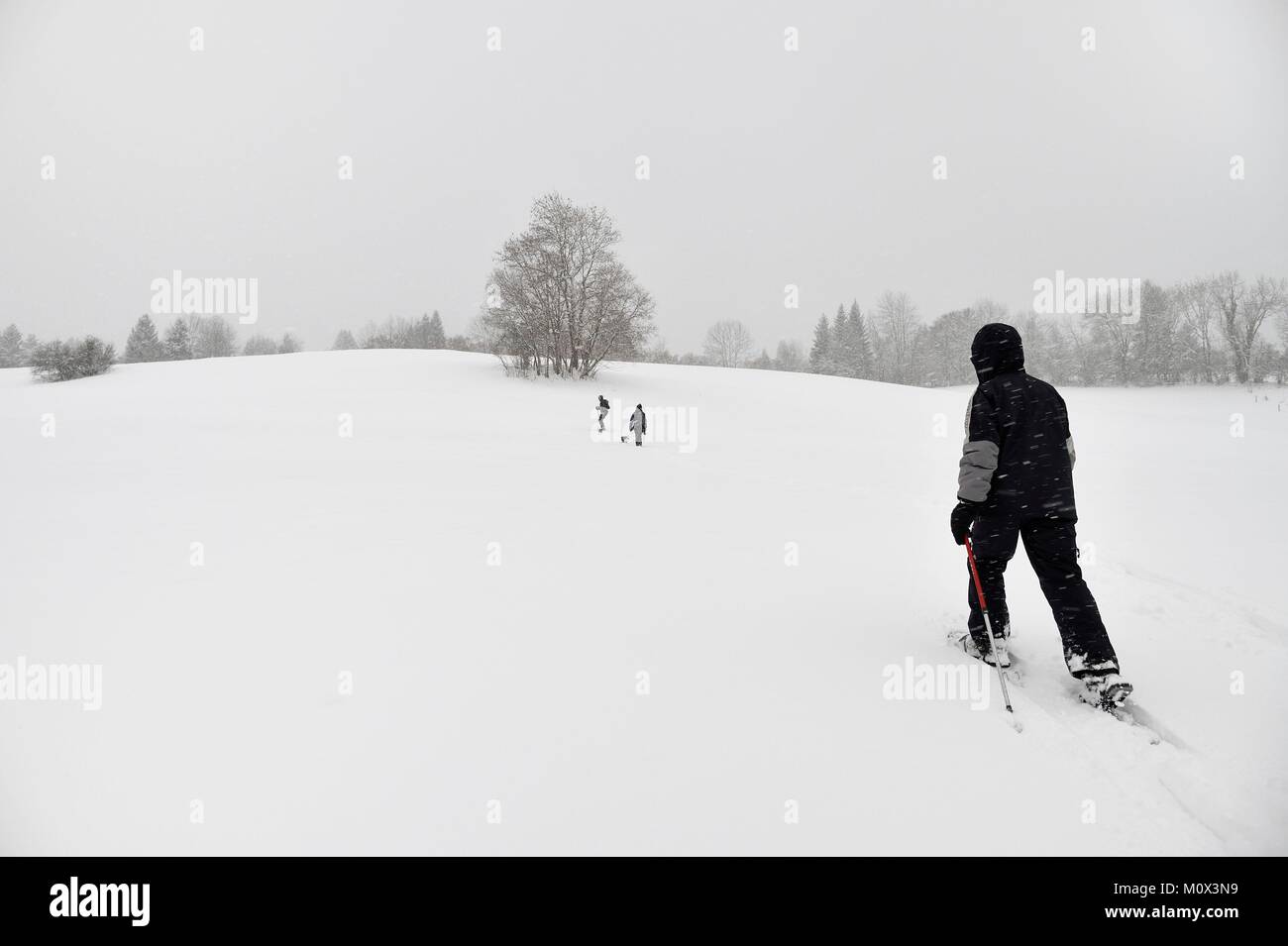 Francia,Haute Savoie,Araches la Frasse,Les Carroz d'Araches ski resort,escursioni con le racchette da neve Foto Stock