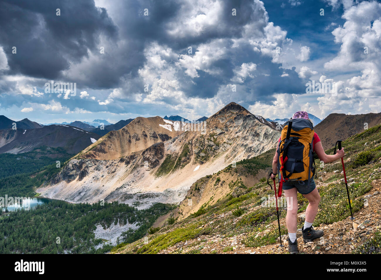 Di mezza età escursionista femmina guardando unnamed vette oltre il birraio e bacino, a sud est dal crinale del monte Brewer, Purcell montagne, della Columbia britannica in Canada Foto Stock