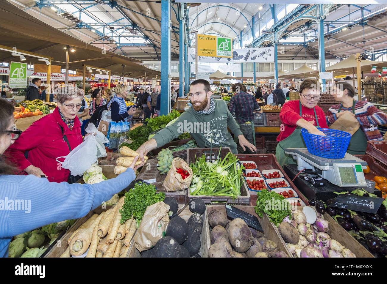 Francia,Cote d'Or,paesaggio culturale di Borgogna climi elencati come patrimonio mondiale dall UNESCO,Dijon,Halles Centrales costruito dalla società Eiffel nel 1868 Foto Stock