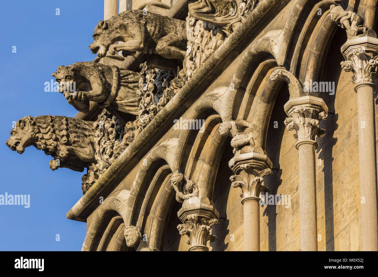 Francia,Cote d'Or,paesaggio culturale di Borgogna climi elencati come patrimonio mondiale dall UNESCO,Dijon,alla chiesa di Notre Dame,mascheroni Foto Stock