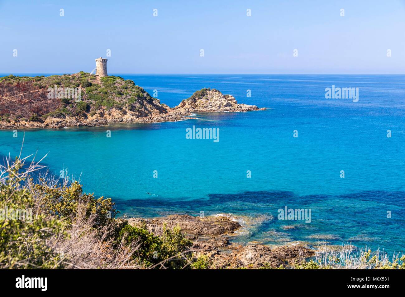 Francia,sud corsica,Zonza,torre genovese di Fautea Foto Stock