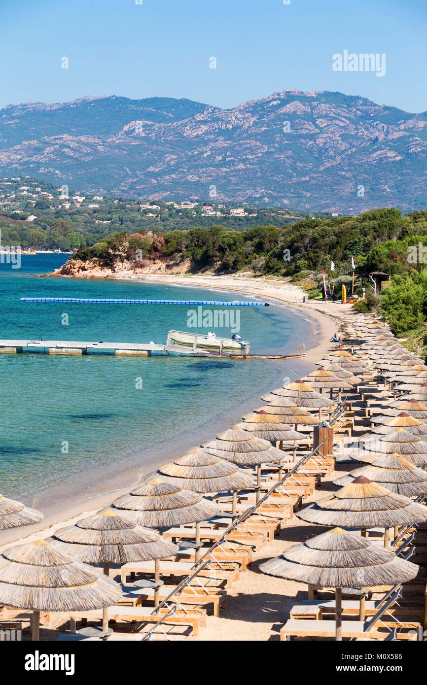 Francia,sud corsica,lecci, la spiaggia di Punta di Benettu Foto Stock