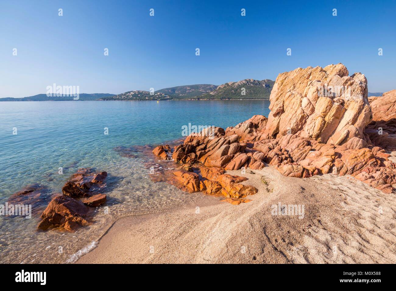 Francia,sud corsica,lecci, la spiaggia di Cala Rossa Foto Stock