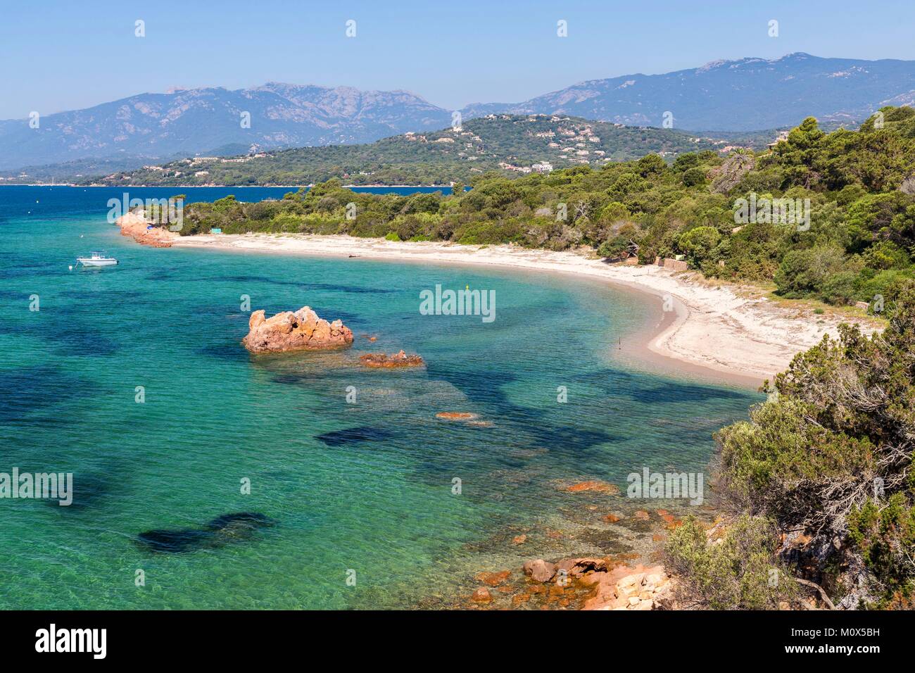 Francia,sud corsica,lecci, la spiaggia di Punta di Benettu Foto Stock