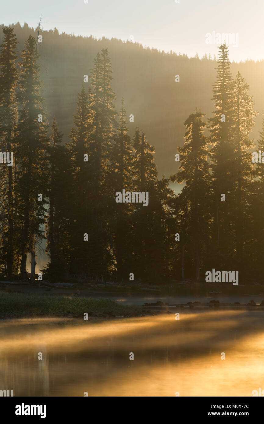 Mattina raggi del sole attraverso gli alberi a scintille lago nel centro di Oregon. Stati Uniti d'America Foto Stock
