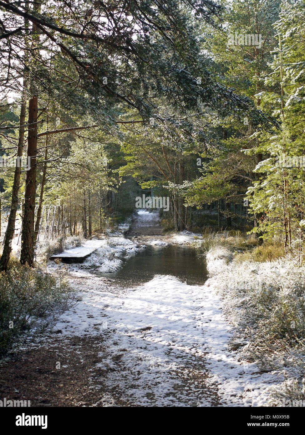 Il modo Badenoch, un sentiero escursionistico da Aviemore per Insh paludi nelle Highlands della Scozia, Inverness-shire. Non adatto per veicolo nonostante Sat Nav Foto Stock