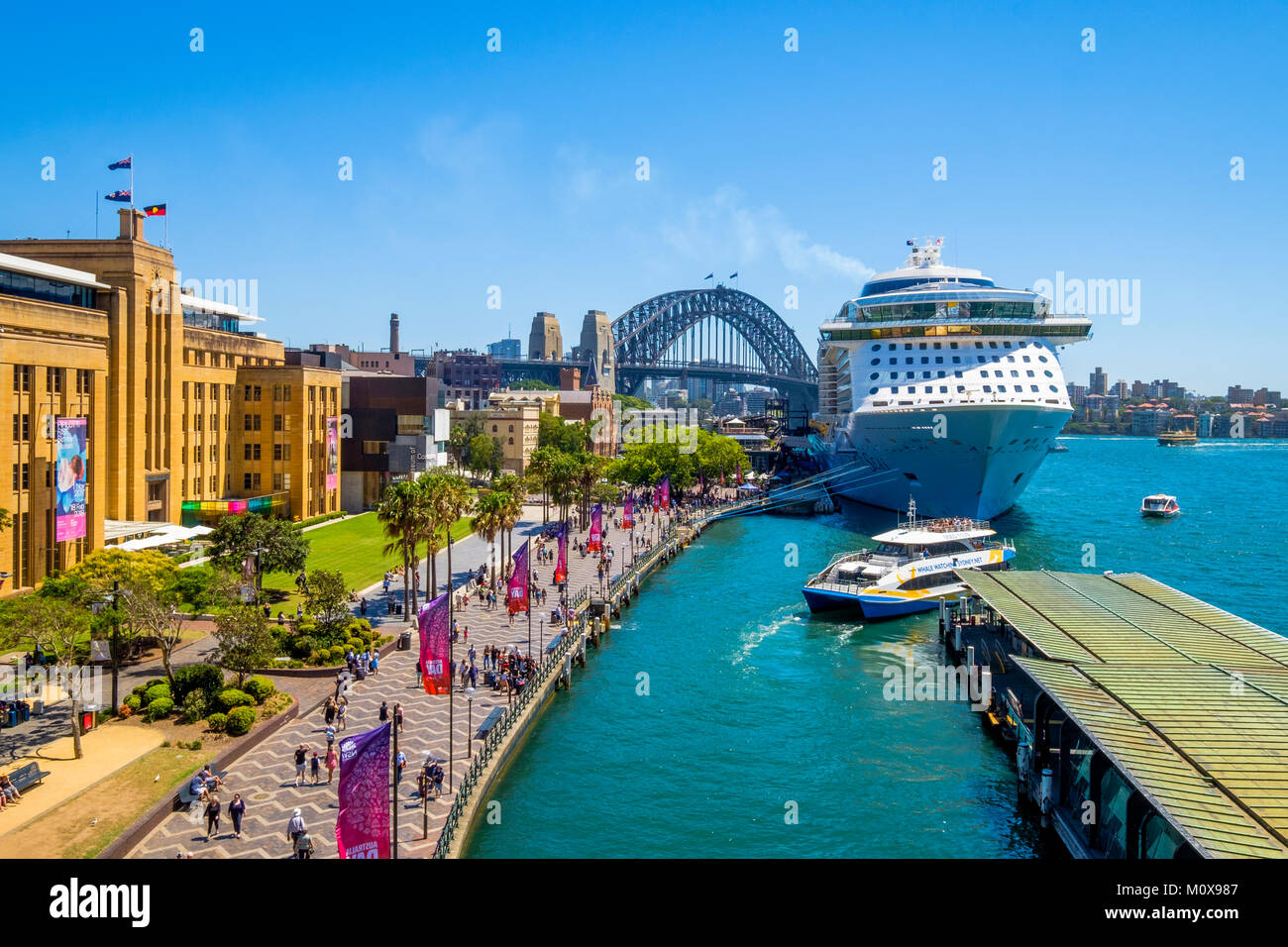Royal Caribbean è ovazione dei mari nave da crociera ormeggiata al Terminal Passeggeri Oltreoceano in Circular Quay, Sydney, Australia in una giornata di sole. Foto Stock