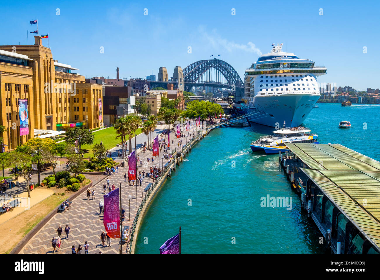 Royal Caribbean è ovazione dei mari nave da crociera ormeggiata al Terminal Passeggeri Oltreoceano in Circular Quay, Sydney, Australia in una giornata di sole. Foto Stock