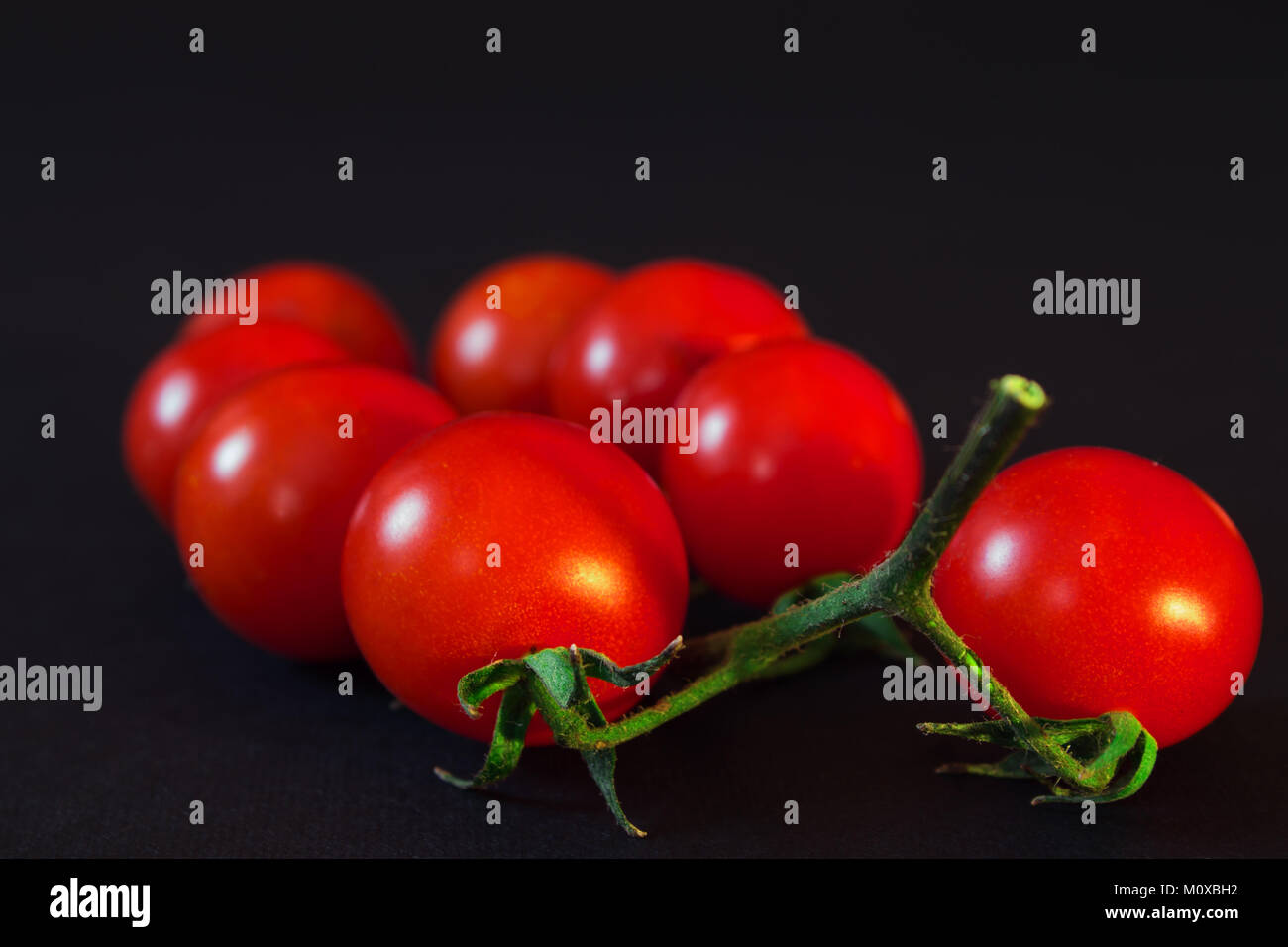 Ramo di piccolo rosso pomodoro closeup su uno sfondo nero. profondità di campo Foto Stock